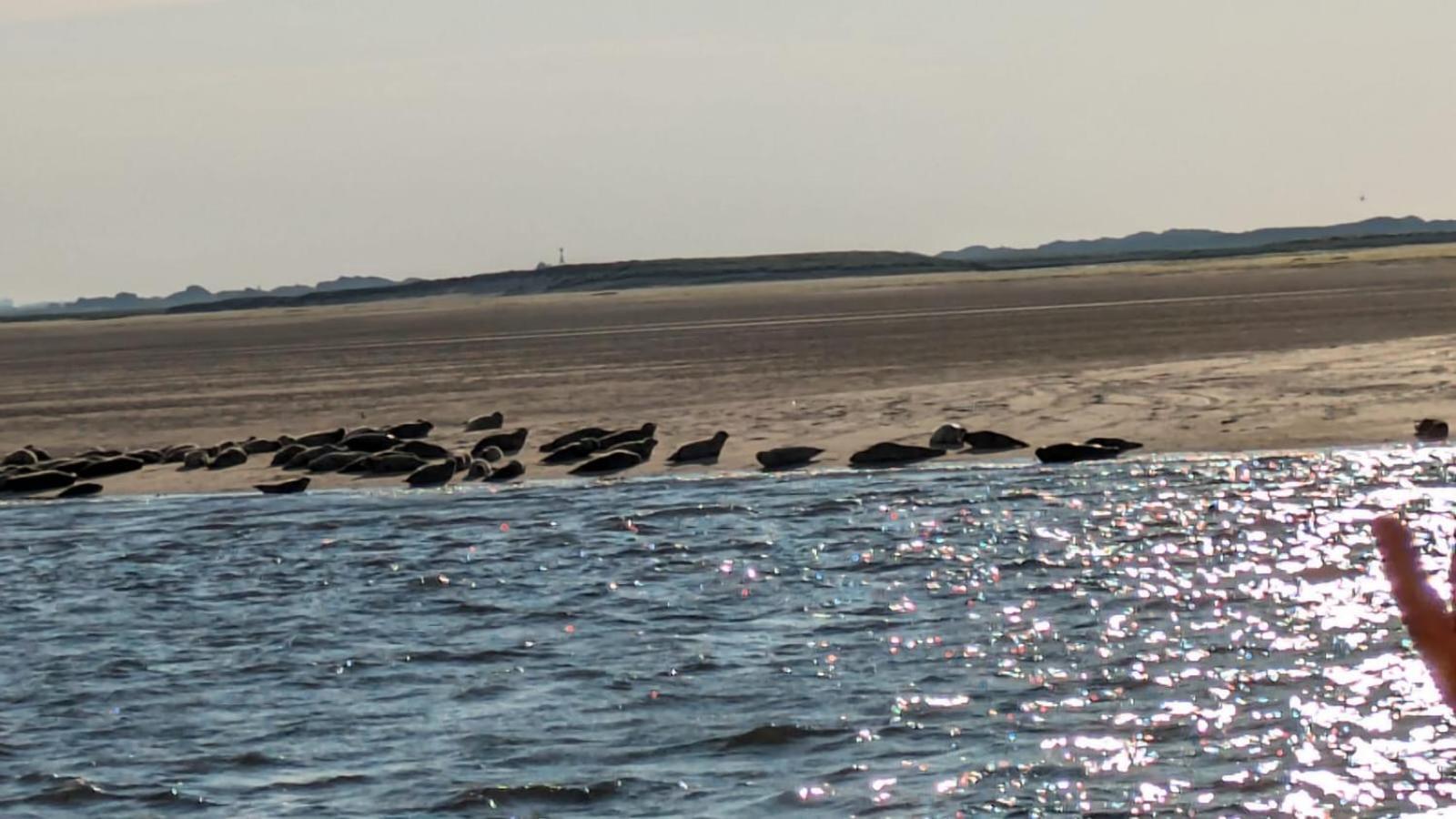 Drei-Insel-Blick Neßmersiel Extérieur photo