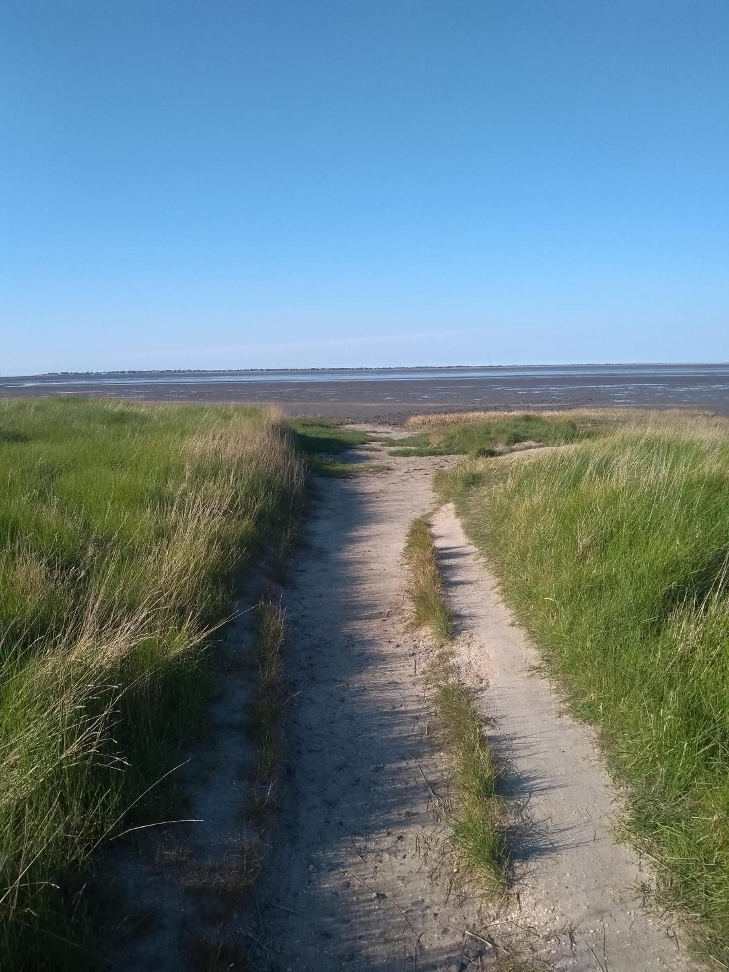 Drei-Insel-Blick Neßmersiel Extérieur photo