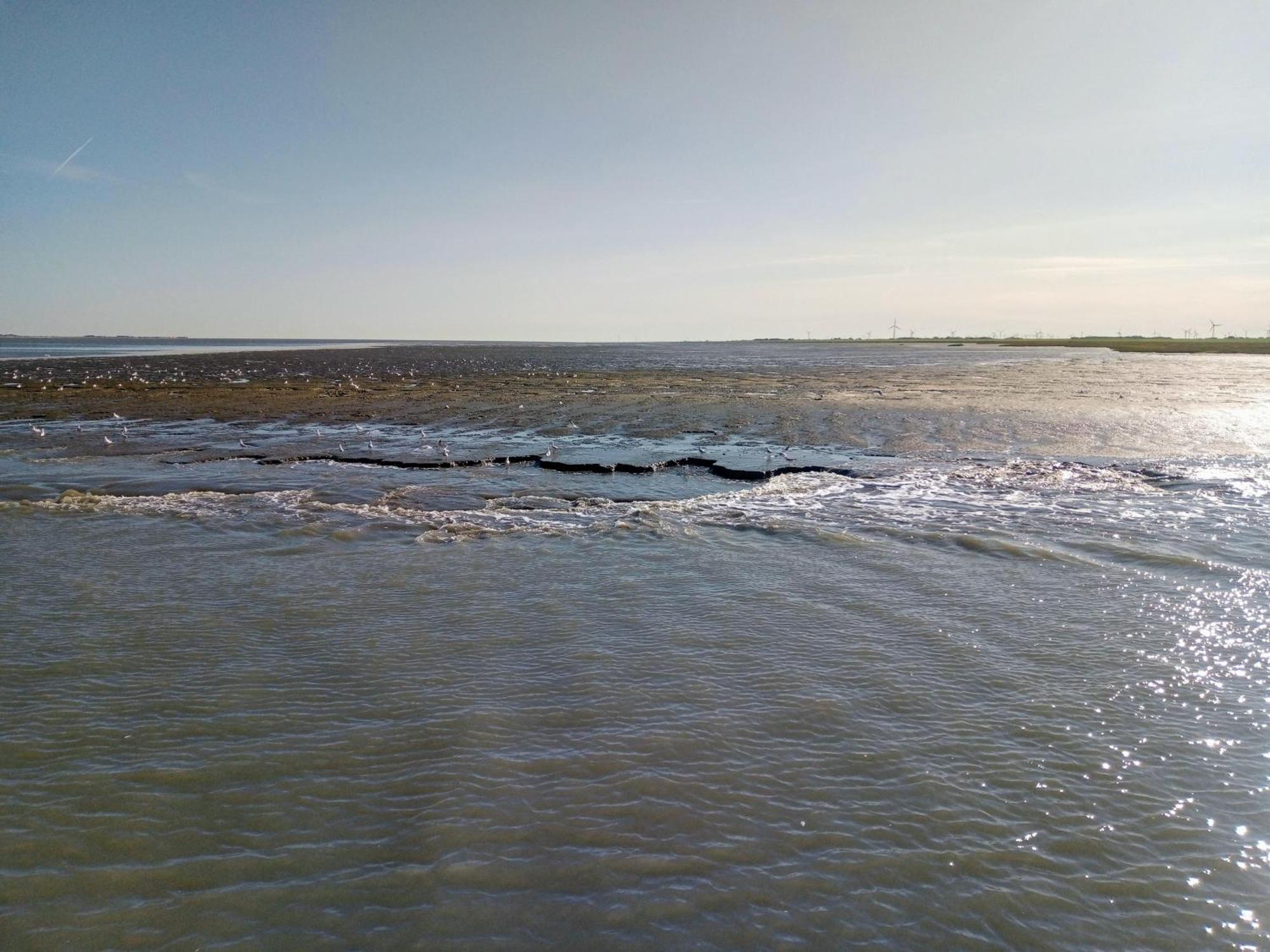 Drei-Insel-Blick Neßmersiel Extérieur photo