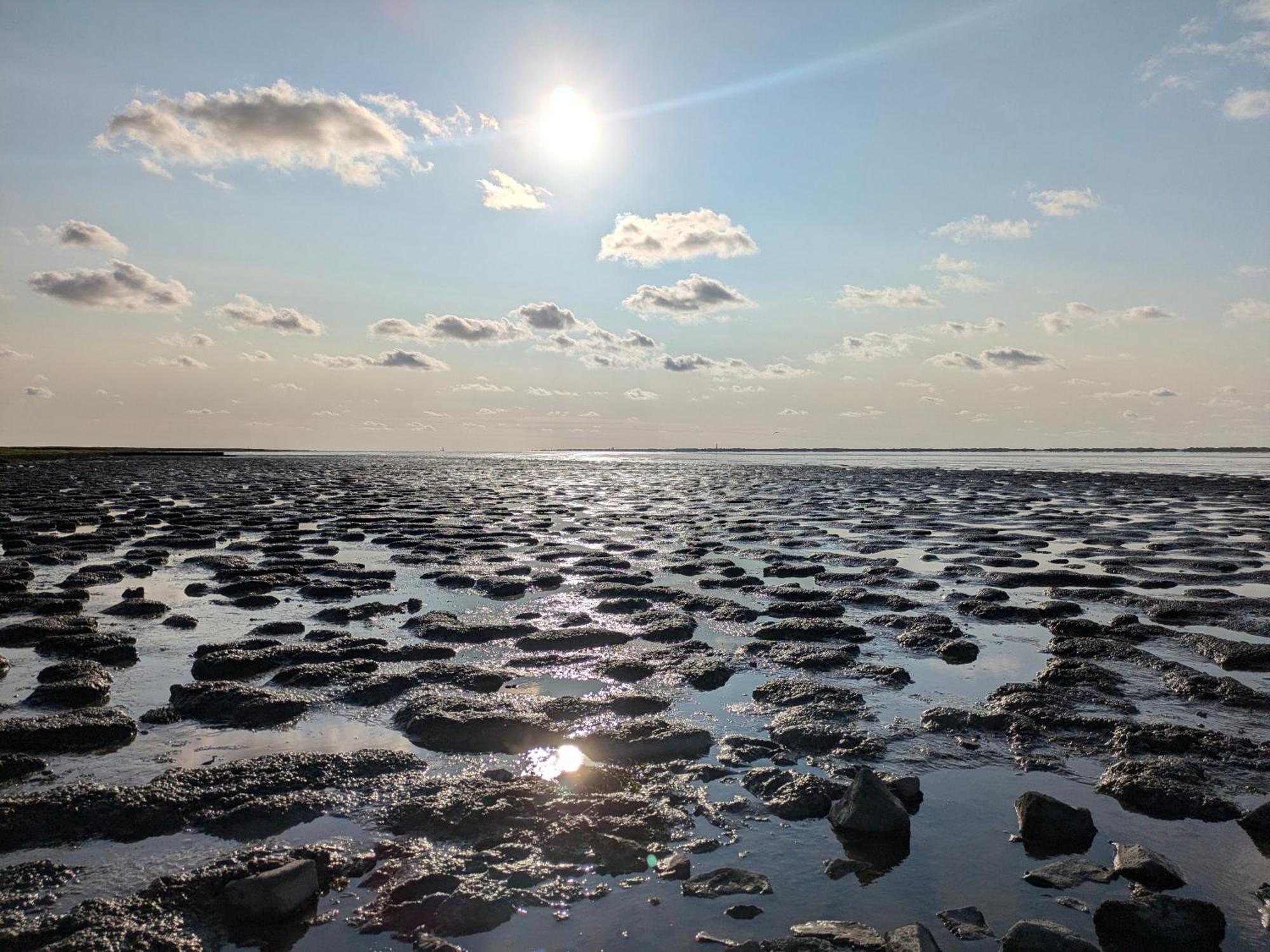 Drei-Insel-Blick Neßmersiel Extérieur photo